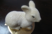 Image00036
