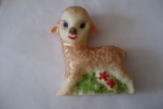 Image00068