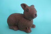 Image00070